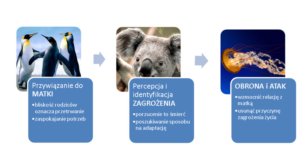 stronamarsa.pl - zazdrość rodzeństwa - dziecięca logika